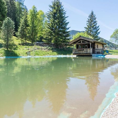 Villa Almliesl Holl-559 Hollersbach im Pinzgau Exterior foto